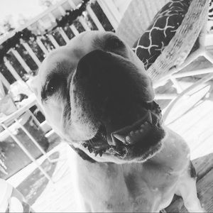 Meet your Posher, Hope